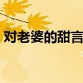 对老婆的甜言蜜语（对老婆的甜言蜜语如下）