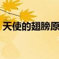 天使的翅膀原唱是谁（天使的翅膀完整歌词）