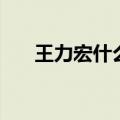 王力宏什么歌好听（王力宏歌手简介）