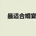最适合婚宴用酒品牌（什么酒适合婚宴）