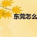 东莞怎么网上选车牌号（详细步骤）