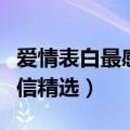 爱情表白最感动的短信（爱情表白最感动的短信精选）