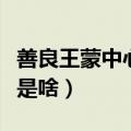 善良王蒙中心观点是什么（善良王蒙中心观点是啥）
