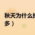 秋天为什么掉头发厉害（什么原因秋天掉头发多）