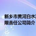 新乡市黄河白水泥有限责任公司（关于新乡市黄河白水泥有限责任公司简介）