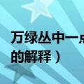 万绿丛中一点红是什么意思（万绿丛中一点红的解释）