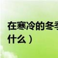 在寒冷的冬季喝杯酒可以暖暖身子吗（原因是什么）