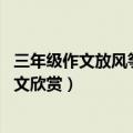 三年级作文放风筝看图写话（三年级作文放风筝看图写话 范文欣赏）