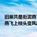 旧巢共是衔泥燕飞上枝头变凤凰是什么意思（旧巢共是衔泥燕飞上枝头变凤凰的含义）