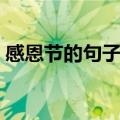感恩节的句子经典短语（关于感恩节的短句）