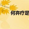 何弃疗是什么意思（何弃疗的出处）
