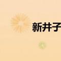 新井子镇（关于新井子镇简介）