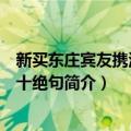 新买东庄宾友携酒往看十绝句（关于新买东庄宾友携酒往看十绝句简介）