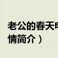 老公的春天电视剧剧情（老公的春天电视剧剧情简介）