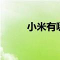 小米有哪些吃法（小米吃法大全）