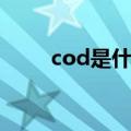 cod是什么游戏（cod游戏的介绍）