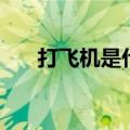 打飞机是什么意思啊（打飞机的含义）