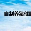自制养猪催肥配方（猪催肥的配方都有啥）