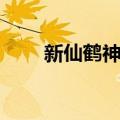 新仙鹤神针（关于新仙鹤神针简介）