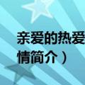 亲爱的热爱的分集剧情（亲爱的热爱1-41剧情简介）