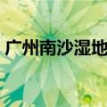 广州南沙湿地公园介绍（南沙湿地公园简介）