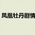 凤凰牡丹剧情分集介绍（大家一起来看看吧）