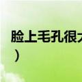 脸上毛孔很大怎么办（改善毛孔粗大的小窍门）