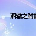 涸辙之鲋的意思（涸辙之鲋怎么理解）