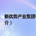 新优势产业集团有限公司（关于新优势产业集团有限公司简介）