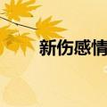 新伤感情歌（关于新伤感情歌简介）