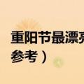 重阳节最漂亮手抄报内容（重阳节手抄报内容参考）