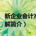 新企业会计准则讲解（关于新企业会计准则讲解简介）