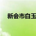 新会市白玉塔（关于新会市白玉塔简介）