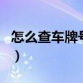 怎么查车牌号的车主（可以网上查车主信息吗）