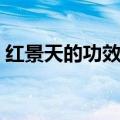 红景天的功效与作用及食用方法（学会了吗）