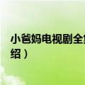 小爸妈电视剧全集剧情介绍（关于小爸妈电视剧全集剧情介绍）