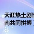天涯热土剧情（剧中人一起团结协作为发展海南共同拼搏）