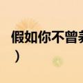 假如你不曾养育我是什么歌（酒干倘卖无歌词）