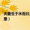 夫菱生于水而曰土产什么意思（夫菱生于水而曰土产出自哪里）