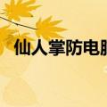 仙人掌防电脑辐射吗（为什么可以防辐射）