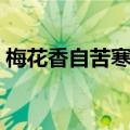 梅花香自苦寒来作者（梅花香自苦寒来出处）