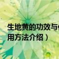 生地黄的功效与作用及食用方法（生地黄的功效与作用及食用方法介绍）