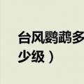 台风鹦鹉多少级（2020年第2号台风鹦鹉多少级）