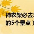 神农架必去5个景点（去神农架旅游不可错过的5个景点）