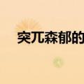 突兀森郁的意思是什么（突兀森郁解释）