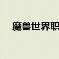 魔兽世界职业介绍（魔兽世界职业简介）