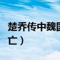 楚乔传中魏国怎么灭亡（楚乔传中魏国如何灭亡）