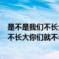 是不是我们不长大你们就不会变老是什么歌名（是不是我们不长大你们就不会变老完整歌词）