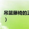 吊篮藤椅的正确清洗方法（吊篮藤椅怎么清洗）