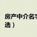 房产中介名字大全集（房产中介名字大全集精选）